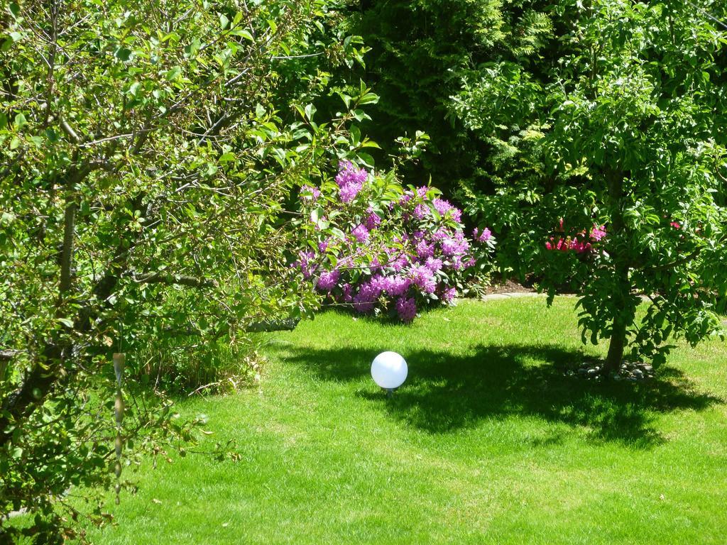 Ferienwohnung Baude Bad Harzburg Rom bilde
